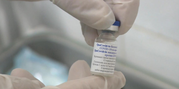 Сможет ли QazVac противостоять новым штаммам коронавируса?