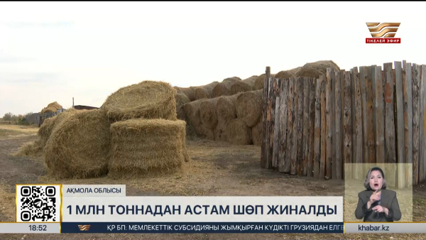 Ақмола облысында миллион тоннадан астам шөп жиналды