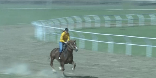 Көкпаршы қыз Ева Жигалина: жақтайтындар да, даттайтындар да бар