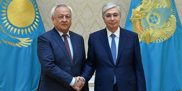 Глава государства принял председателя Союза писателей Мереке Кулкенова