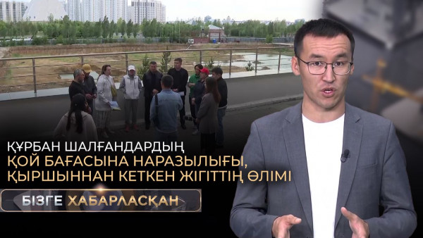 Құрбан шалғандардың қой бағасына наразылығы, қыршыннан кеткен жігіттің өлімі | Бізге хабарласқан