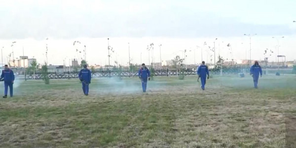 Дезинфекционные службы борются с нашествием комаров