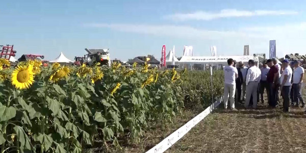 Фермеры ЗКО обеспокоены снижением цен на зерновые культуры