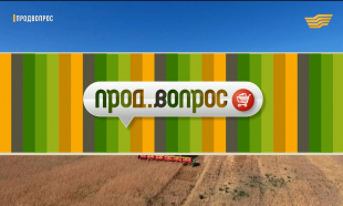 &laquo;Продвопрос&raquo;. Инвестирование в АПК