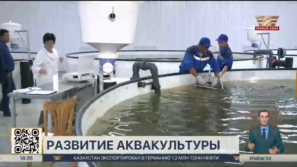 Водоемы для разведения рыб могут отдавать без конкурса бизнесменам