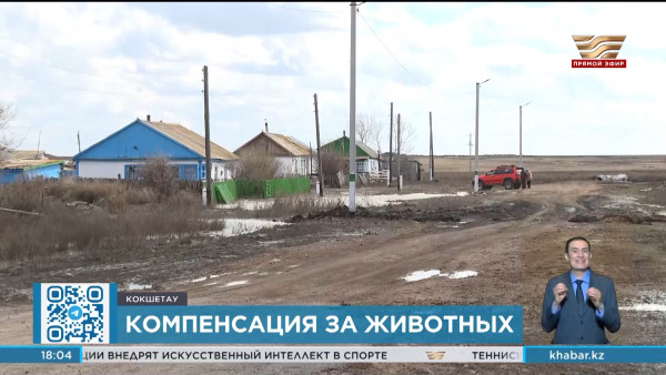 Компенсация будет выплачена за погибший из-за паводков скот в Акмолинской области