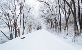 Қазақстанның басым бөлігінде желдің күшеюі күтіледі