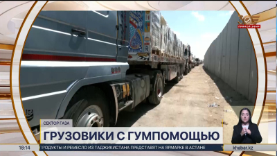 800 грузовиков с гумпомощью въехали в сектор Газа – новости мира