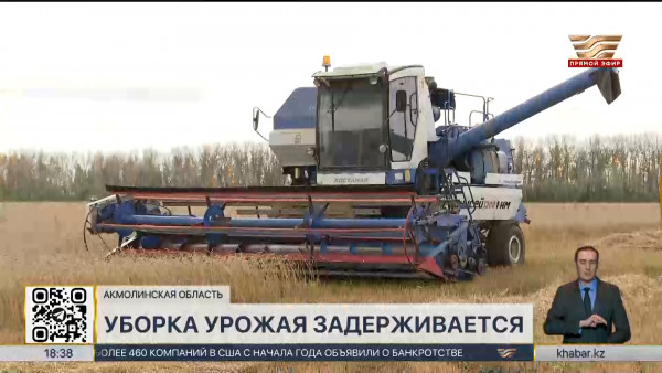 На  2 недели задерживается уборка урожая в Акмолинской области