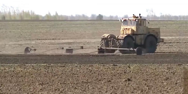 Законопроект о запрете на аренду и продажу земель иностранцам поддерживают костанайские фермеры