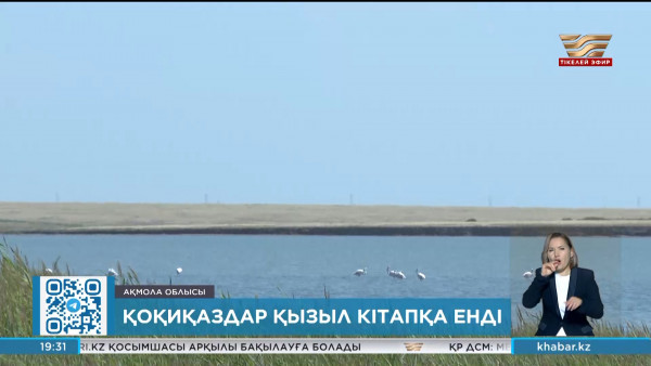 Қорғалжын қорығындағы 26 құс түрі халықаралық Қызыл кітапқа енді