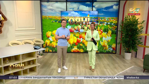 StartUp нарығына +1 қосымша, 4 күндік жұмыстың пайдасы, әлеуметтік желі арқылы табыс табу жолы