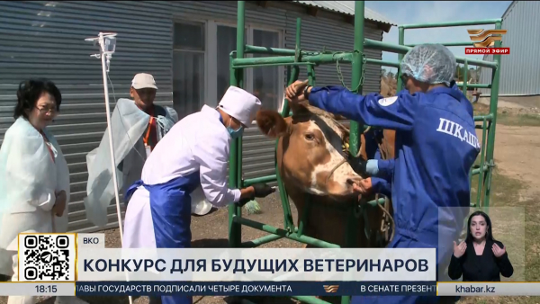 Республиканский конкурс для будущих ветеринаров проходит в ВКО