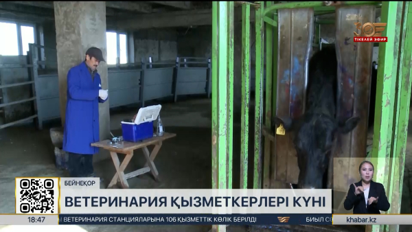 Бүгін – Ветеринариялық қызметкер күні