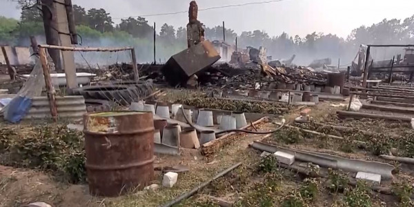 Кто недооценил масштабы пожара в области Абай?