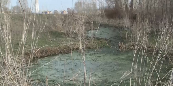 Село Курчум десятки лет сливало канализационные стоки в реку