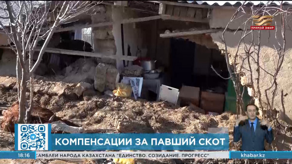 Компенсации выплачивают владельцам павших животных