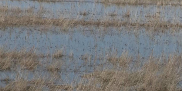 Қостанай облысындағы бөгетті су шайып кетті