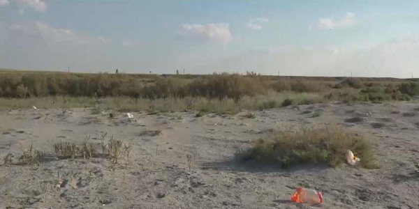 Шалқар көлі суалып барады