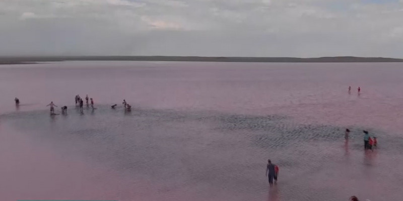 Токсичные элементы и металлы обнаружили в розовом озере Кобейтуз