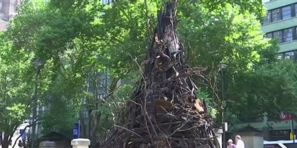 Необычную елку создал художник из Австралии