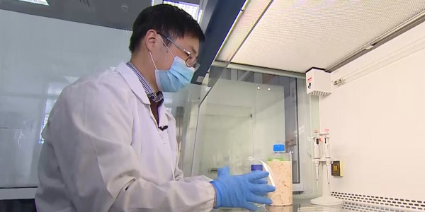 Қазақстандық ғалымдар терең жаралар мен қатты күйіктерді емдеуге арналған инновациялық құрал ойлап тапты