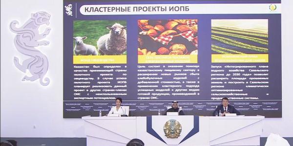 Ислам ұйымы гуманитарлық көмекке басымдық береді