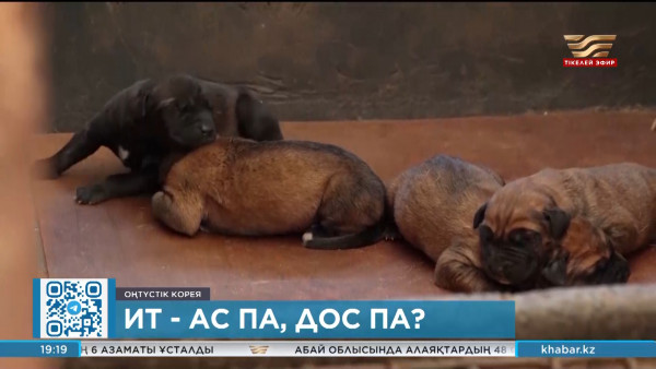 Ит ас па, дос па?