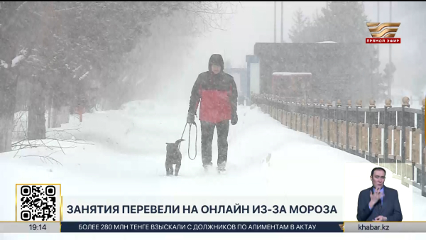 Школьники перешли на онлайн-обучение в нескольких регионах РК