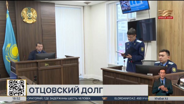 Размеры алиментов предложили увеличить в РК