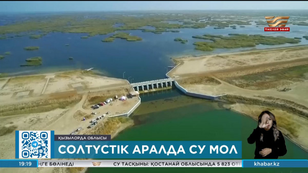 Аралдың су көлемі артты