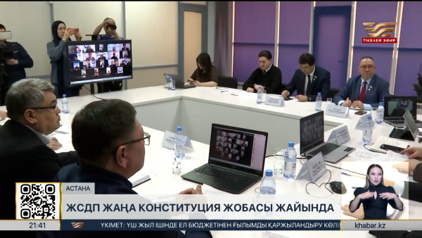 ЖСДП Саяси кеңесі реформаны қолдайды