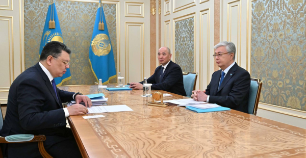 Глава государства принял заместителя Премьер-министра Каната Бозумбаева