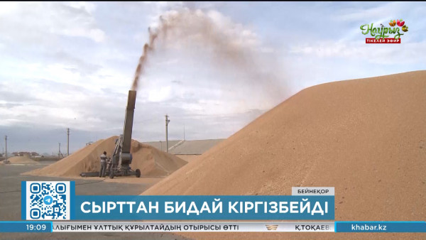 Елге бидай әкелуге тыйым салынады