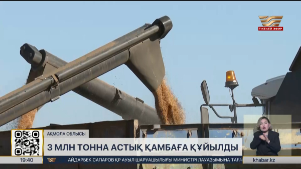 Ақмола облысында 3 миллион тонна астық қамбаға құйылды