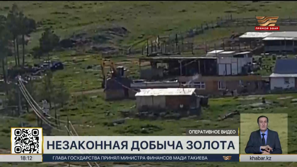 Организаторов незаконной добычи золота задержали в ВКО