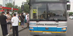Алматыда қоғамдық көліктерді жүргізуші куәлігі жоқ адамдар тізгіндеп келген