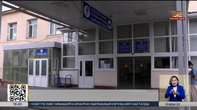 Алматы облысында 10 жастағы баланы ит талады
