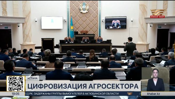 Цифровую трансформацию АПК и водного хозяйства обсудили в Сенате