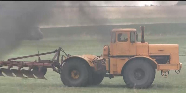 Орман шаруашылығында қандай түйткілдер бар?