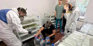 2 лаборатории с химическими прекурсорами ликвидировали в Алматы