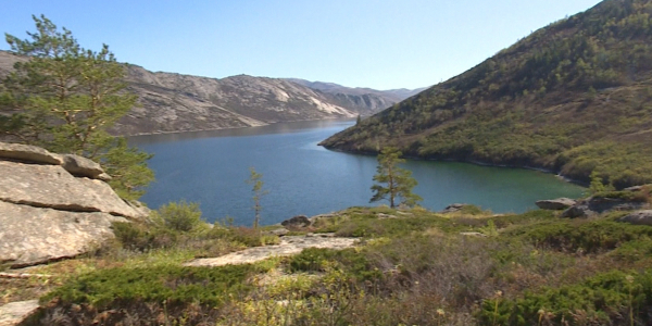 Небывалый поток туристов принимает Алаколь