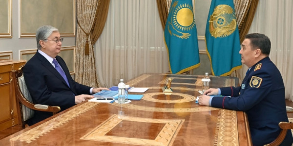 Глава государства принял министра внутренних дел Марата Ахметжанова