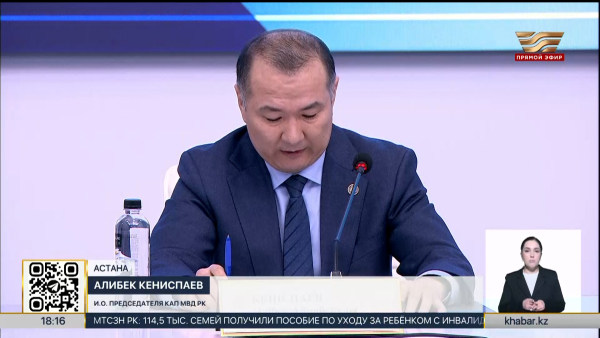 Число преступлений в быту значительно сократилось в Казахстане