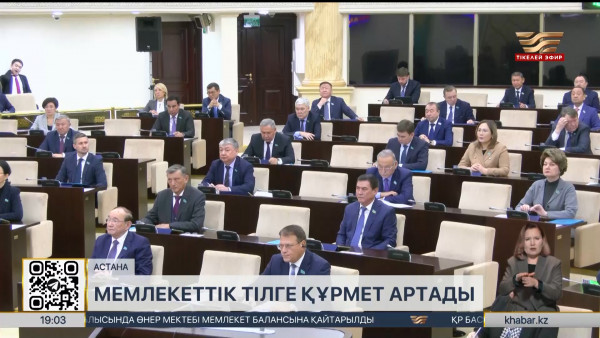 Сенаторлар мәдениет, білім беру және тәлімгерлікті дамыту туралы заңды қарады