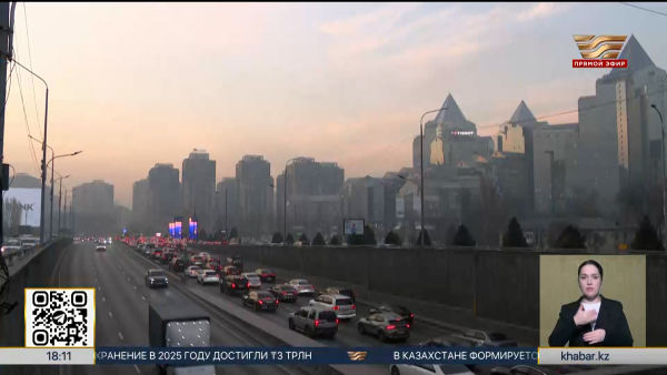 Цифровой кодекс стал стратегическим ориентиром страны – депутат Мажилиса