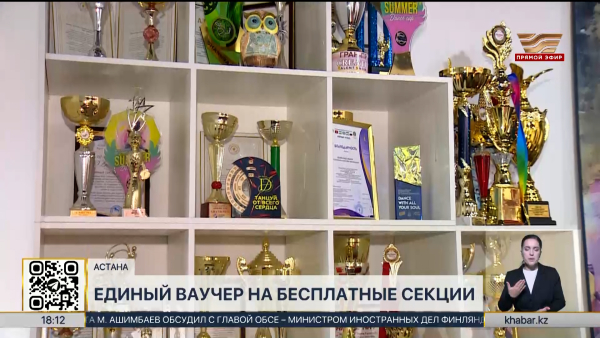 Единый ваучер для посещения детских кружков вводят в РК