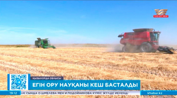 Қызылорда облысында егін ору науқаны кеш басталды