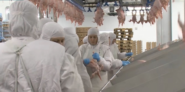 Үкімет отырысында ауыл шаруашылығы саласындағы ахуал талқыланды