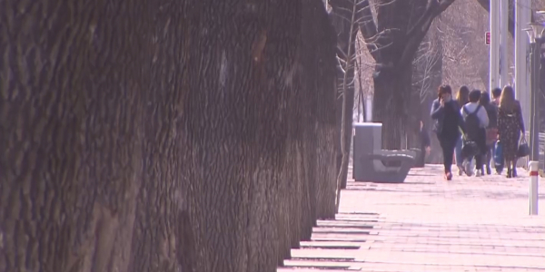 В дни карантина продовольственным грузам дадут &laquo;зеленый коридор&raquo;